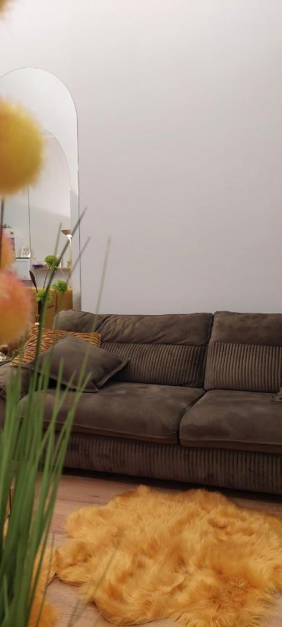 Apartament M Vatra Dornei Εξωτερικό φωτογραφία