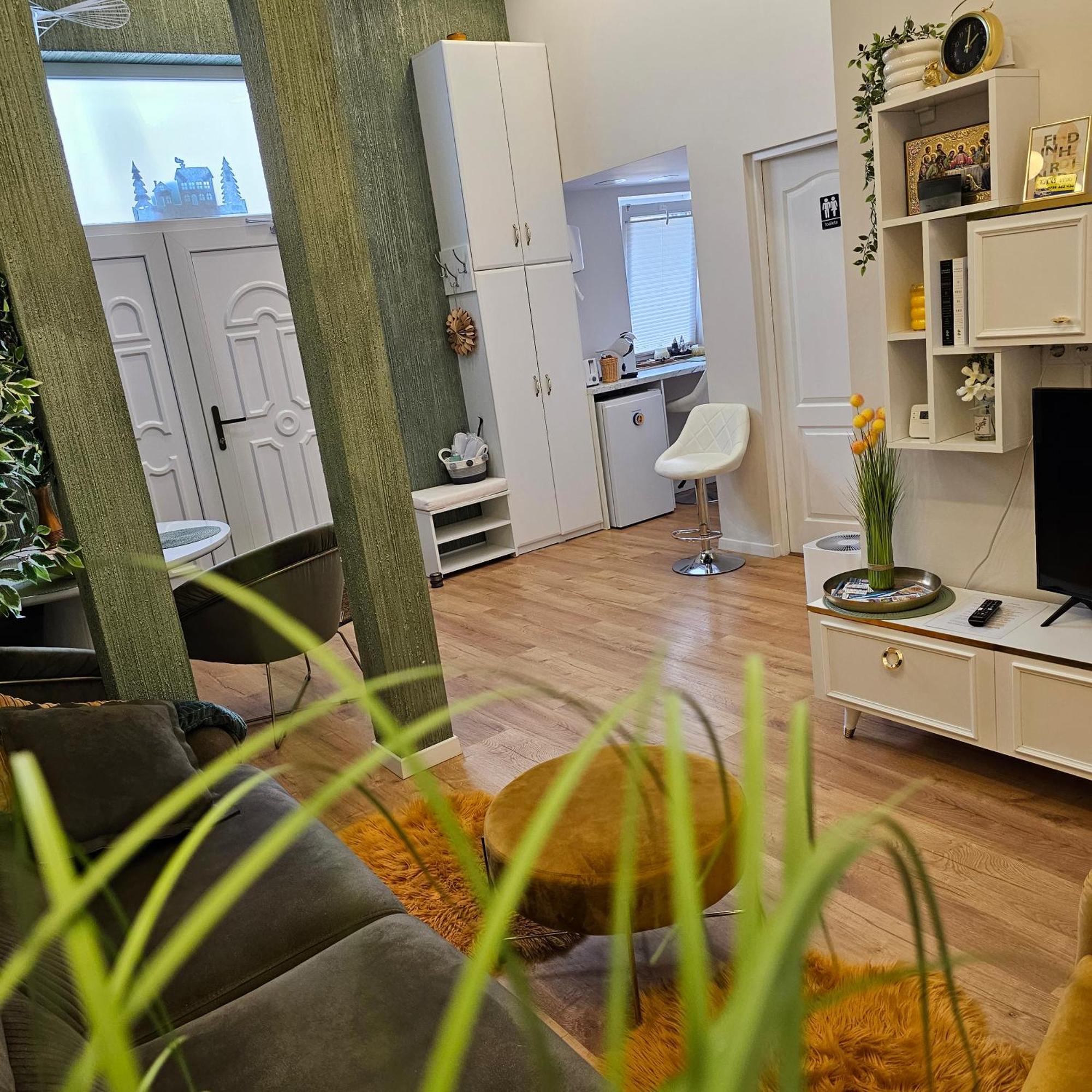 Apartament M Vatra Dornei Εξωτερικό φωτογραφία